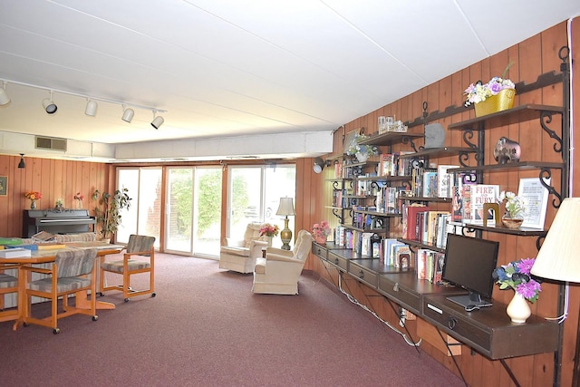 2900 Maple Ave Unit 10E, Downers Grove, IL 60515 - carpeted office space featuring wooden walls and track lighting