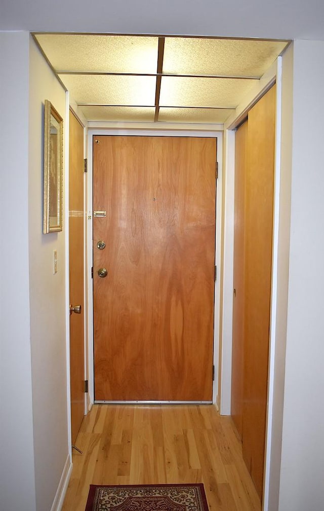 2900 Maple Ave Unit 10E, Downers Grove, IL 60515 - doorway featuring light wood-style flooring