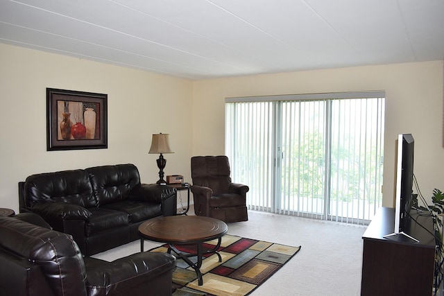 2900 Maple Ave Unit 10E, Downers Grove, IL 60515 - living area featuring carpet flooring