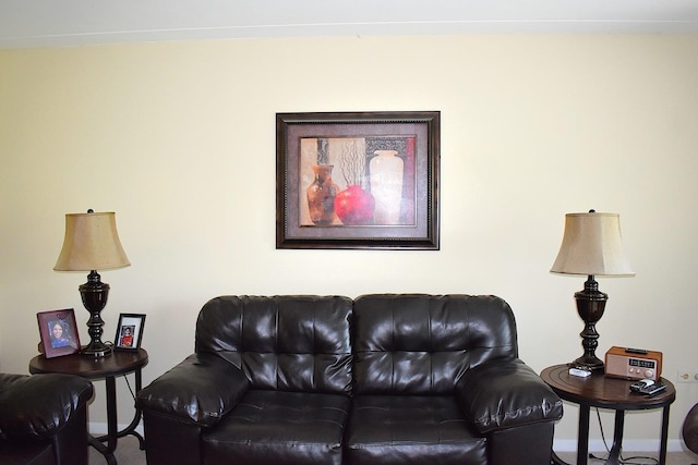 2900 Maple Ave Unit 10E, Downers Grove, IL 60515 - living area with baseboards