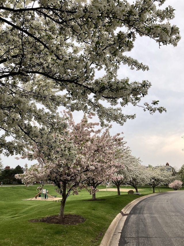 4316 W Shamrock Ln Unit 3C, Mchenry, IL 60050 - view of community featuring a lawn