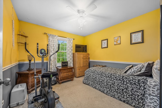 20005 S Mallory Dr, Frankfort, IL 60423 - bedroom with carpet, wainscoting, and a ceiling fan