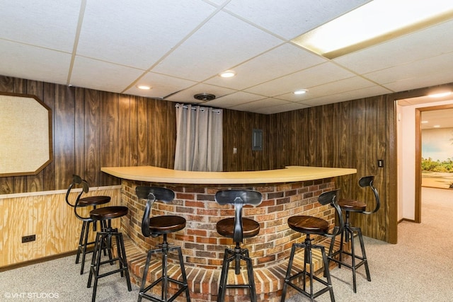 43389 N Oakcrest Ln N, Zion, IL 60099 - indoor bar with light colored carpet, wooden walls, a drop ceiling, and baseboards