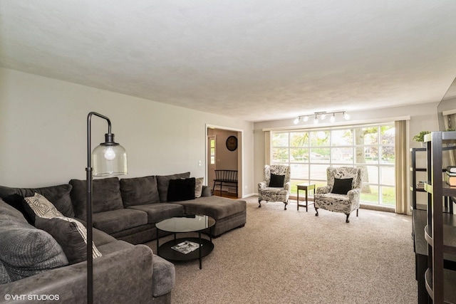 43389 N Oakcrest Ln N, Zion, IL 60099 - living area with carpet