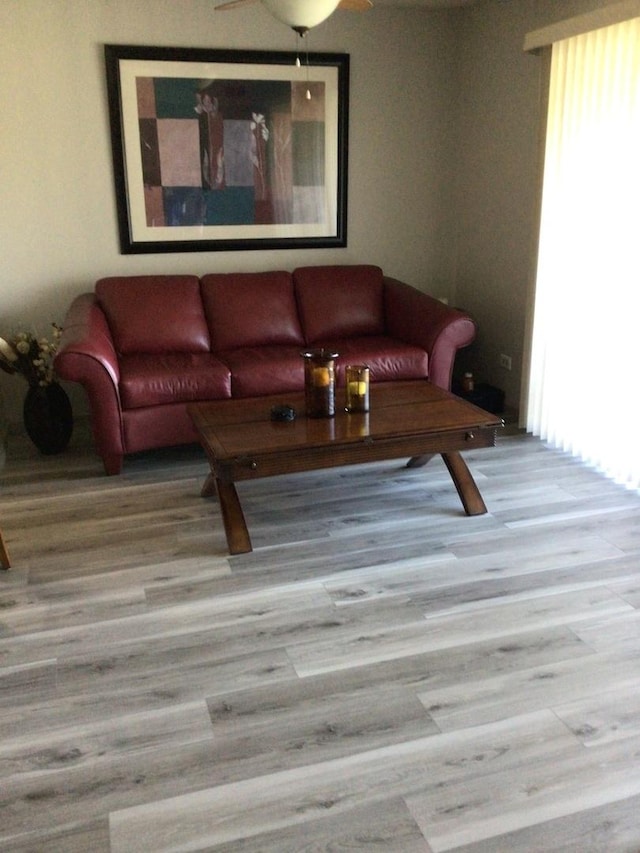 19533 Lake Shore Dr Unit 3N, Lynwood, IL 60411 - living room featuring wood finished floors