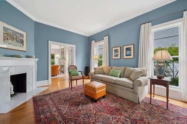 641 Michigan Ave, Evanston, IL 60202 - living room featuring wood finished floors, ornamental molding, baseboards, and a high end fireplace