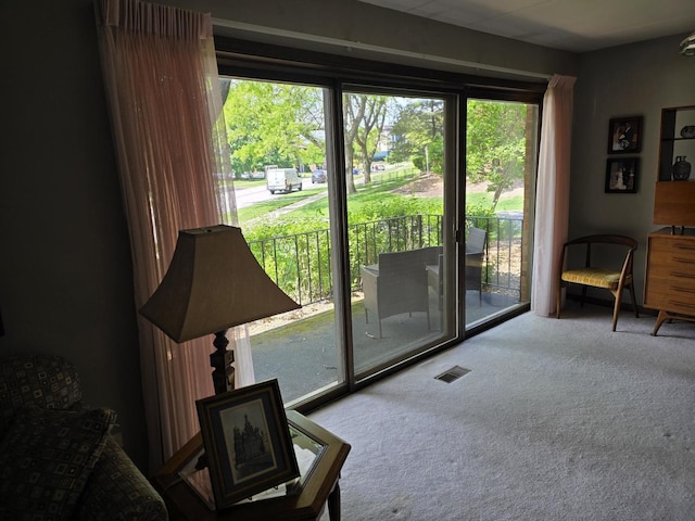 9906 Shady Ln Unit 1Sw, Orland Park, IL 60462 - entryway featuring healthy amount of natural light and carpet floors