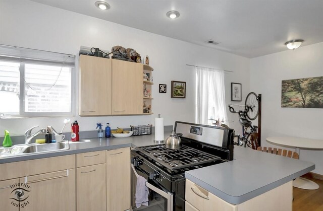 1735 S Desplaines St, Chicago, IL 60616 - kitchen with stainless steel range with gas cooktop, light brown cabinetry, a sink, a peninsula, and open shelves
