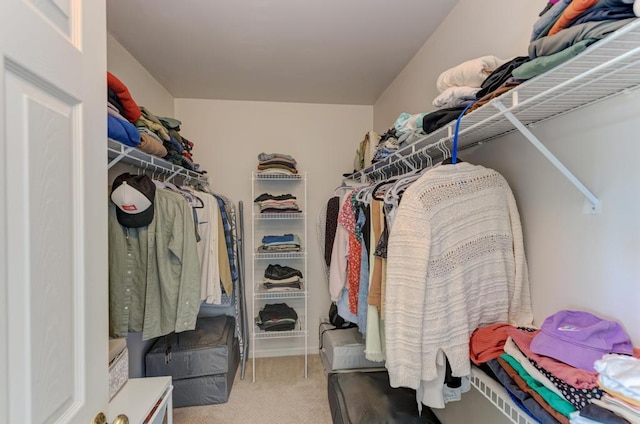 1924 Golden Gate Ln, Naperville, IL 60563 - walk in closet featuring carpet