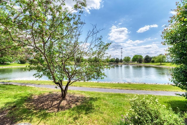 1924 Golden Gate Ln, Naperville, IL 60563 - water view