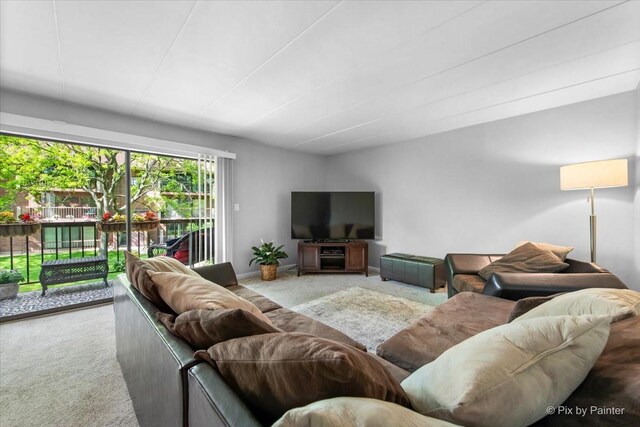210 E Fountainview Ln Unit 2B, Lombard, IL 60148 - view of carpeted living area
