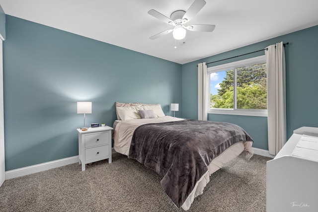 27W314 Melrose Ln, Winfield, IL 60190 - carpeted bedroom with baseboards and ceiling fan