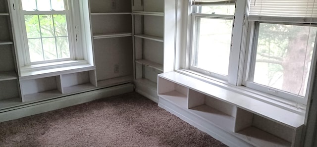 809 S Lynn St, Champaign, IL 61820 - detailed view of carpet and a baseboard radiator