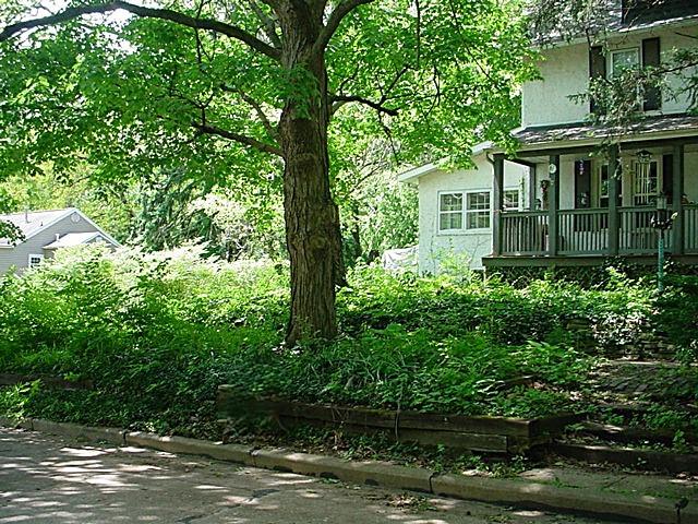 809 S Lynn St, Champaign, IL 61820 - view of yard with a porch
