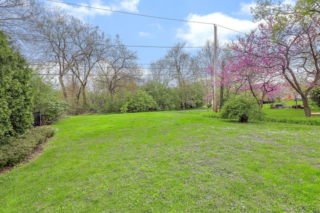 223 Bryant Ave, Glen Ellyn, IL 60137 - photo 12