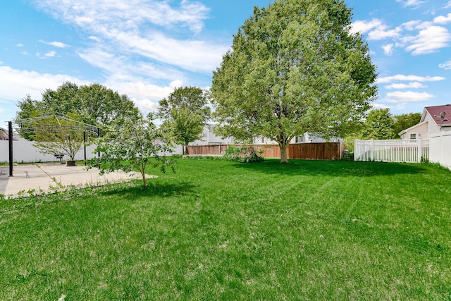 1565 Stefanie Ln, Bourbonnais, IL 60914 - view of yard