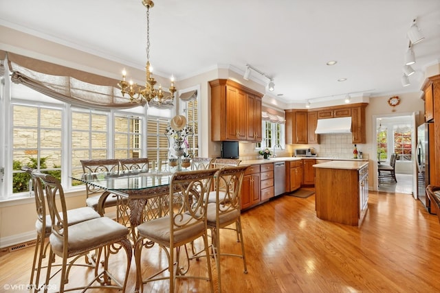 289 S S Shore Ln, Lake Forest, IL 60045 - kitchen featuring range hood, appliances with stainless steel finishes, rail lighting, a chandelier, and a sink