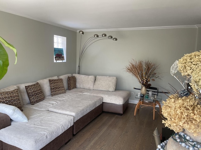 4549 N Canfield Ave, Norridge, IL 60706 - living room with ornamental molding, wood finished floors, and baseboards