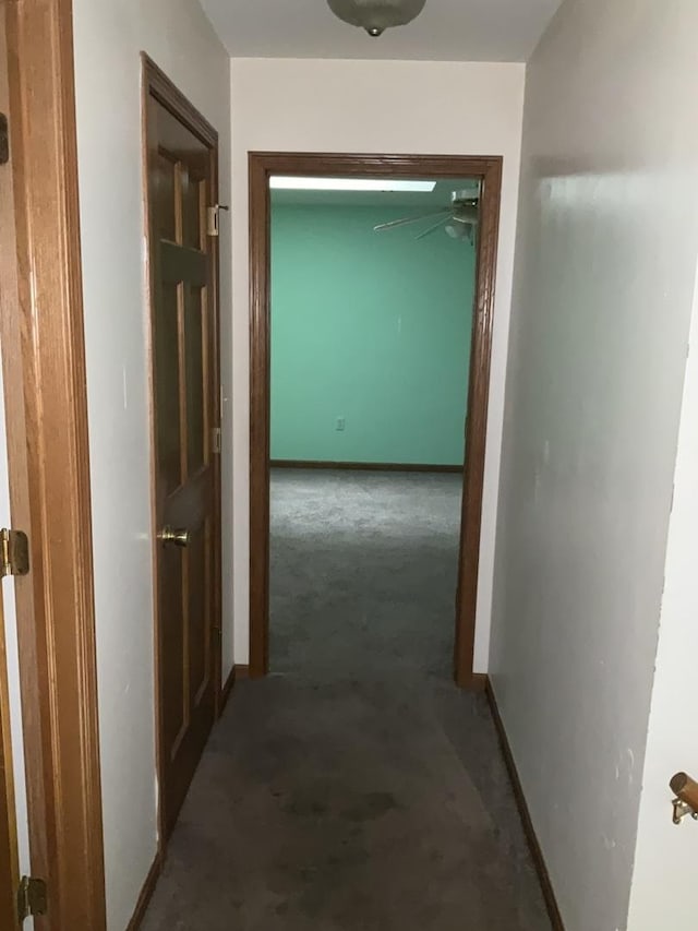 934 Evans St, Ottawa, IL 61350 - corridor featuring carpet floors