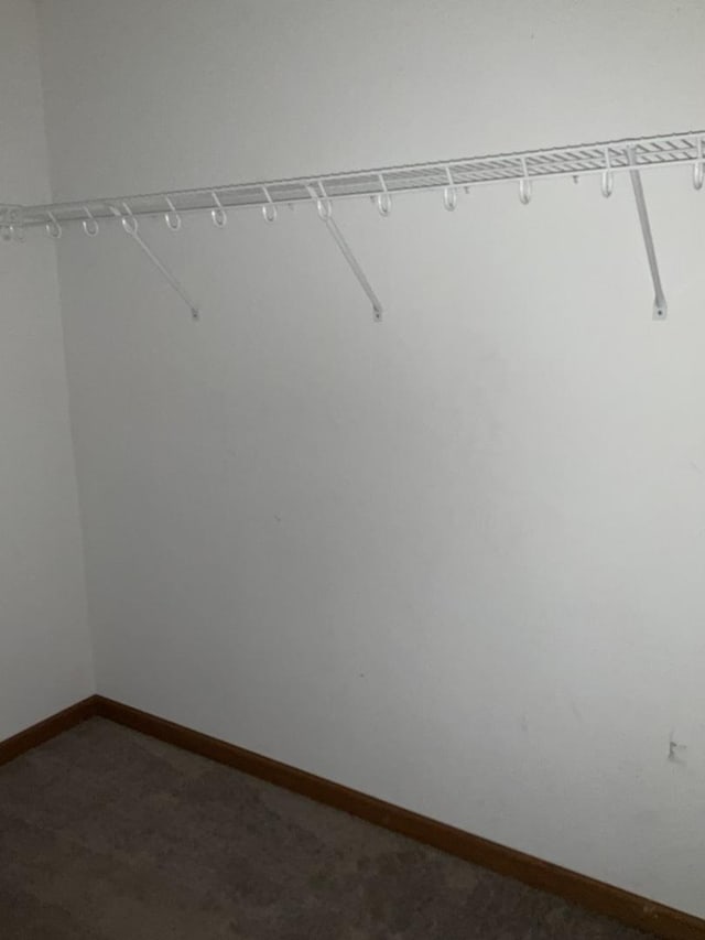 934 Evans St, Ottawa, IL 61350 - view of walk in closet