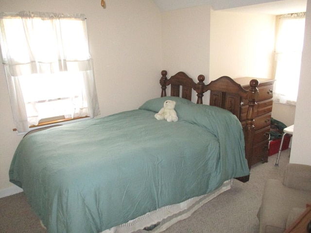 10918 S Ridgeway Ave, Chicago, IL 60655 - bedroom with multiple windows and carpet floors