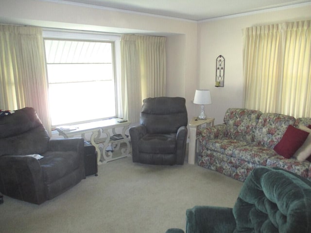 10918 S Ridgeway Ave, Chicago, IL 60655 - living area featuring carpet and crown molding