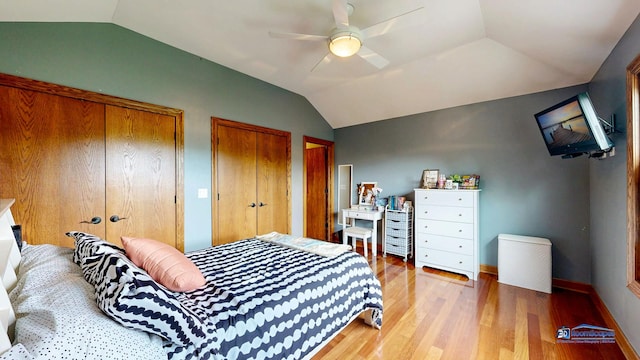 1535 S Douglas Ave, Arlington Heights, IL 60005 - bedroom featuring vaulted ceiling, light wood-type flooring, multiple closets, and a ceiling fan