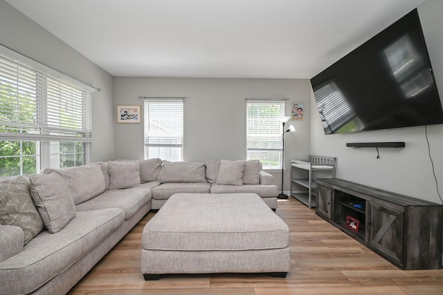 129 W Hampton Ct, Round Lake, IL 60073 - living room with light wood-style flooring