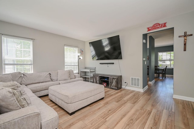 129 W Hampton Ct, Round Lake, IL 60073 - living area featuring light wood-type flooring and baseboards