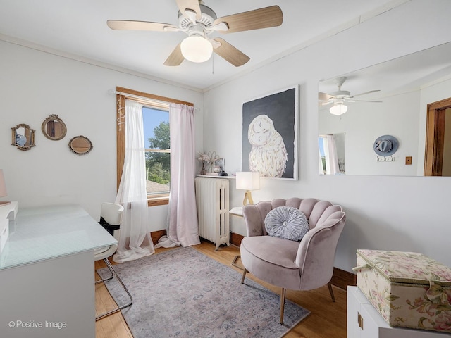 217 S Craig Pl, Lombard, IL 60148 - living area featuring ceiling fan, radiator, wood finished floors, and crown molding