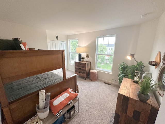 983 Celebration Dr, Aurora, IL 60504 - photo 15
