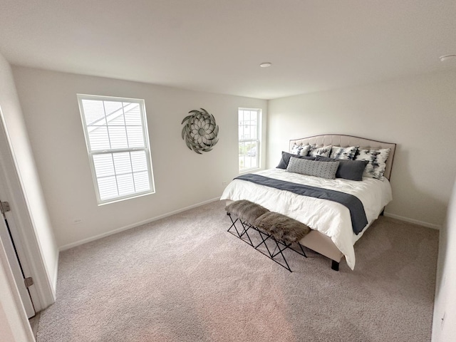 983 Celebration Dr, Aurora, IL 60504 - photo 10