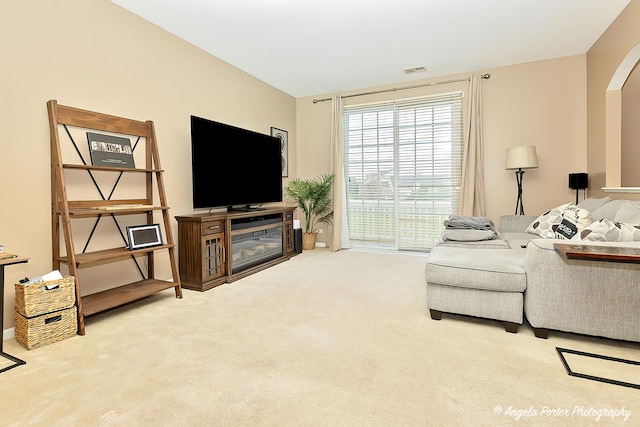4219 Savoy Ln Unit 4219, Mchenry, IL 60050 - living room featuring carpet flooring, arched walkways, and baseboards