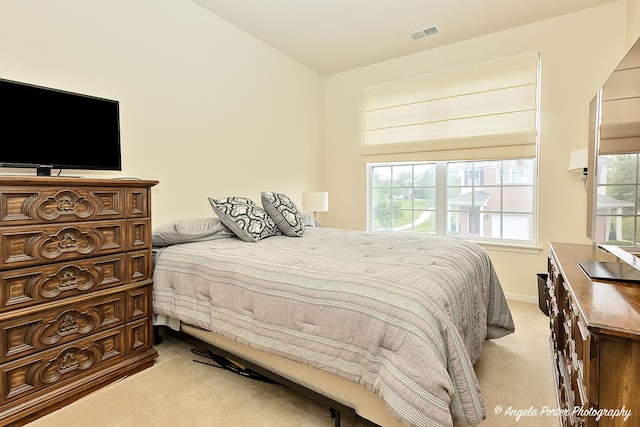 4219 Savoy Ln Unit 4219, Mchenry, IL 60050 - bedroom with carpet flooring and multiple windows