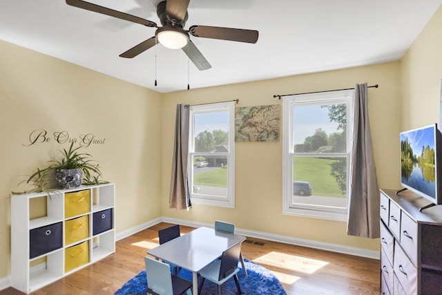 7N310 Ridge Line Rd, Saint Charles, IL 60175 - office featuring plenty of natural light, light wood-type flooring, and a ceiling fan