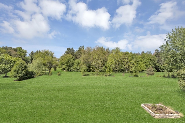 7N310 Ridge Line Rd, Saint Charles, IL 60175 - view of green lawn