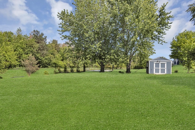 7N310 Ridge Line Rd, Saint Charles, IL 60175 - view of green lawn