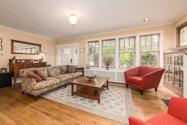 740 Wisner St, Park Ridge, IL 60068 - living area featuring wood finished floors, crown molding, plenty of natural light, and radiator