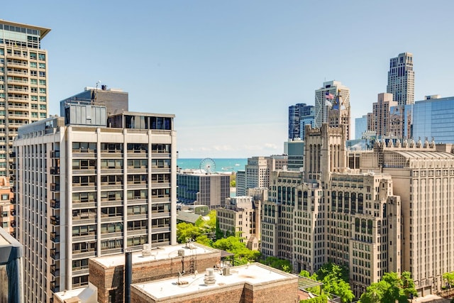 201 E Chestnut St Unit 3C, Chicago, IL 60611 - city view with a large body of water