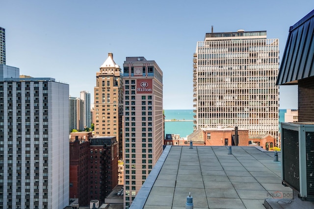 201 E Chestnut St Unit 3C, Chicago, IL 60611 - city view featuring a large body of water
