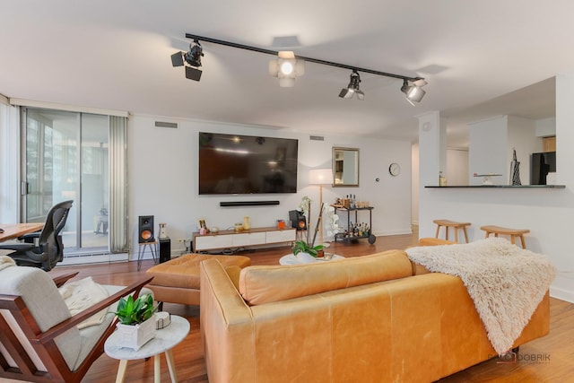 201 E Chestnut St Unit 3C, Chicago, IL 60611 - living room featuring wood finished floors, rail lighting, and baseboards
