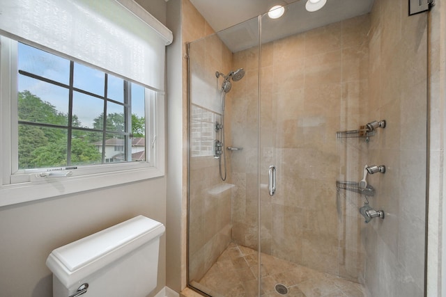 5234 Cedar Ct, Lisle, IL 60532 - bathroom featuring a shower stall and toilet