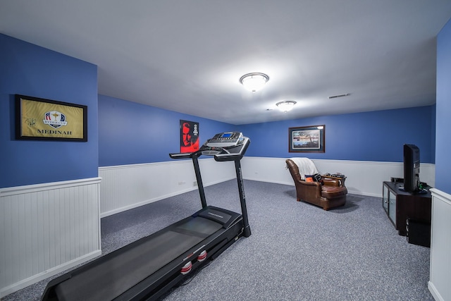 5234 Cedar Ct, Lisle, IL 60532 - exercise area with wainscoting and carpet floors