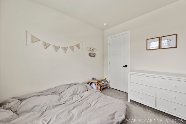 165 Canterbury Way, Lake Zurich, IL 60047 - bedroom with carpet floors