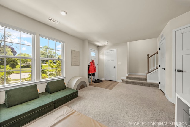 165 Canterbury Way, Lake Zurich, IL 60047 - sitting room featuring carpet flooring, plenty of natural light, and stairway