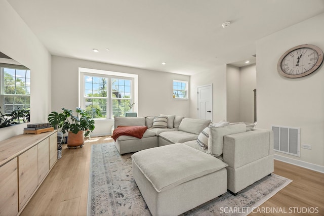 165 Canterbury Way, Lake Zurich, IL 60047 - living area with light wood-style floors and recessed lighting