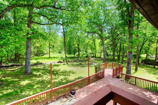 24307 S Plum Valley Dr, Crete, IL 60417 - photo 17
