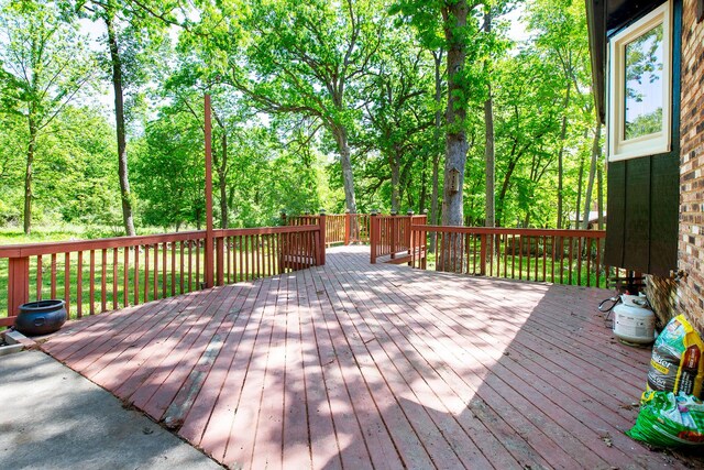 24307 S Plum Valley Dr, Crete, IL 60417 - photo 31