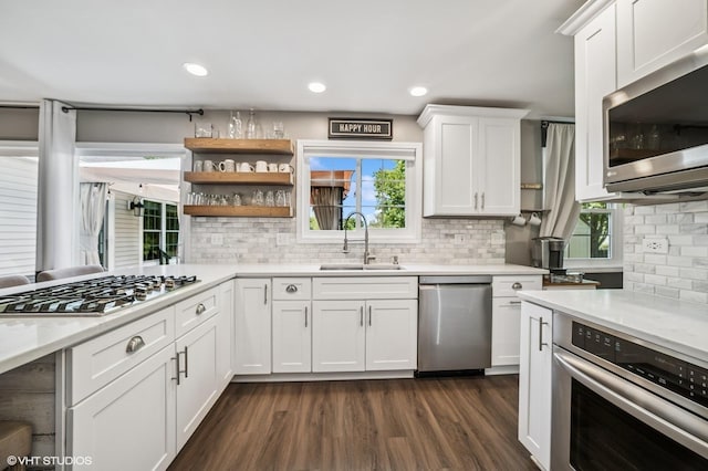 1250 Fernleaf Dr, Crystal Lake, IL 60014 - kitchen featuring stainless steel appliances, a sink, light countertops, white cabinets, and dark wood-style floors