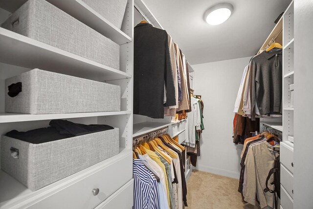 340 E Randolph St Unit 1304, Chicago, IL 60601 - spacious closet featuring light colored carpet